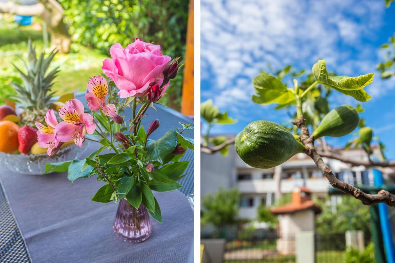 Motovunska 39A Apartment โปเรช ภายนอก รูปภาพ